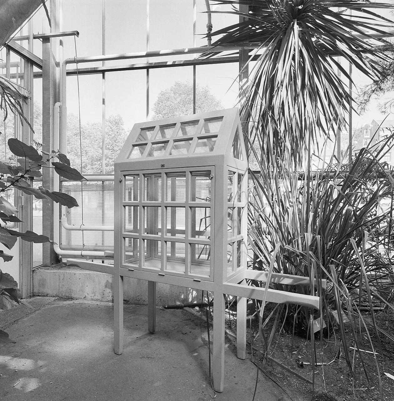 (3) The Wardian case: ancestor of the terrarium