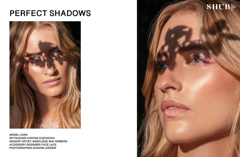 Perfect Shadows